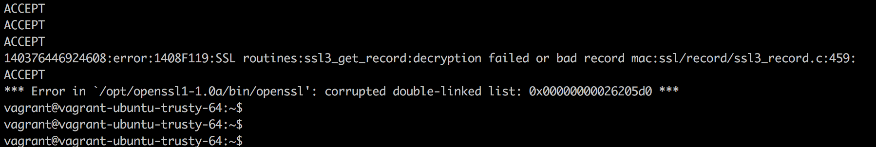 OpenSSL-Crash